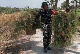 Kehadiran Satgas TMMD 129 di Bojonegoro: Bentuk Kepedulian Melalui Aksi Bersama