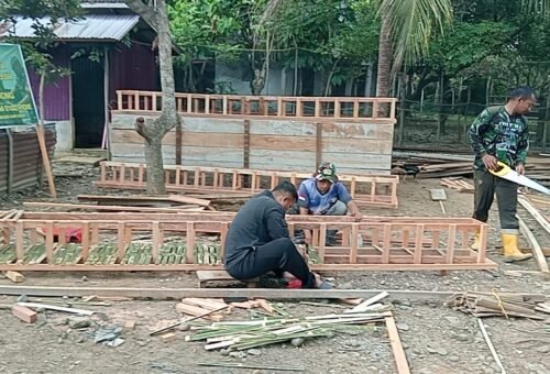 Pembangunan Kandang Ayam Petelur oleh TMMD Kodim 0102/Pidie Memberdayakan Warga