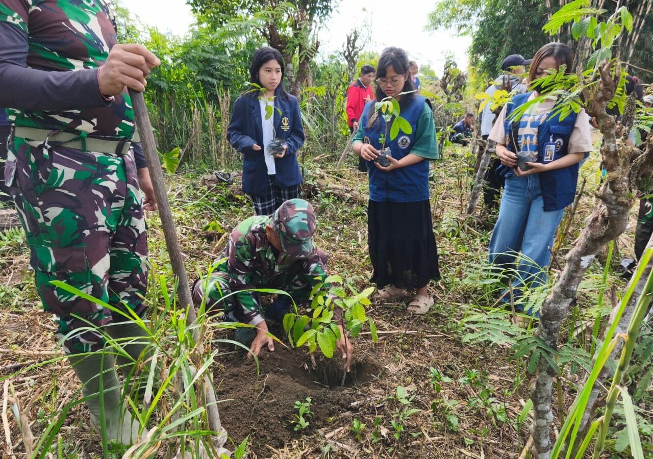Satgas TMMD Tanam 500 Pohon Mahoni di Sekardadi, Dukung Keberlanjutan Lingkungan