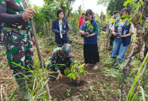 Satgas TMMD Tanam 500 Pohon Mahoni di Sekardadi, Dukung Keberlanjutan Lingkungan