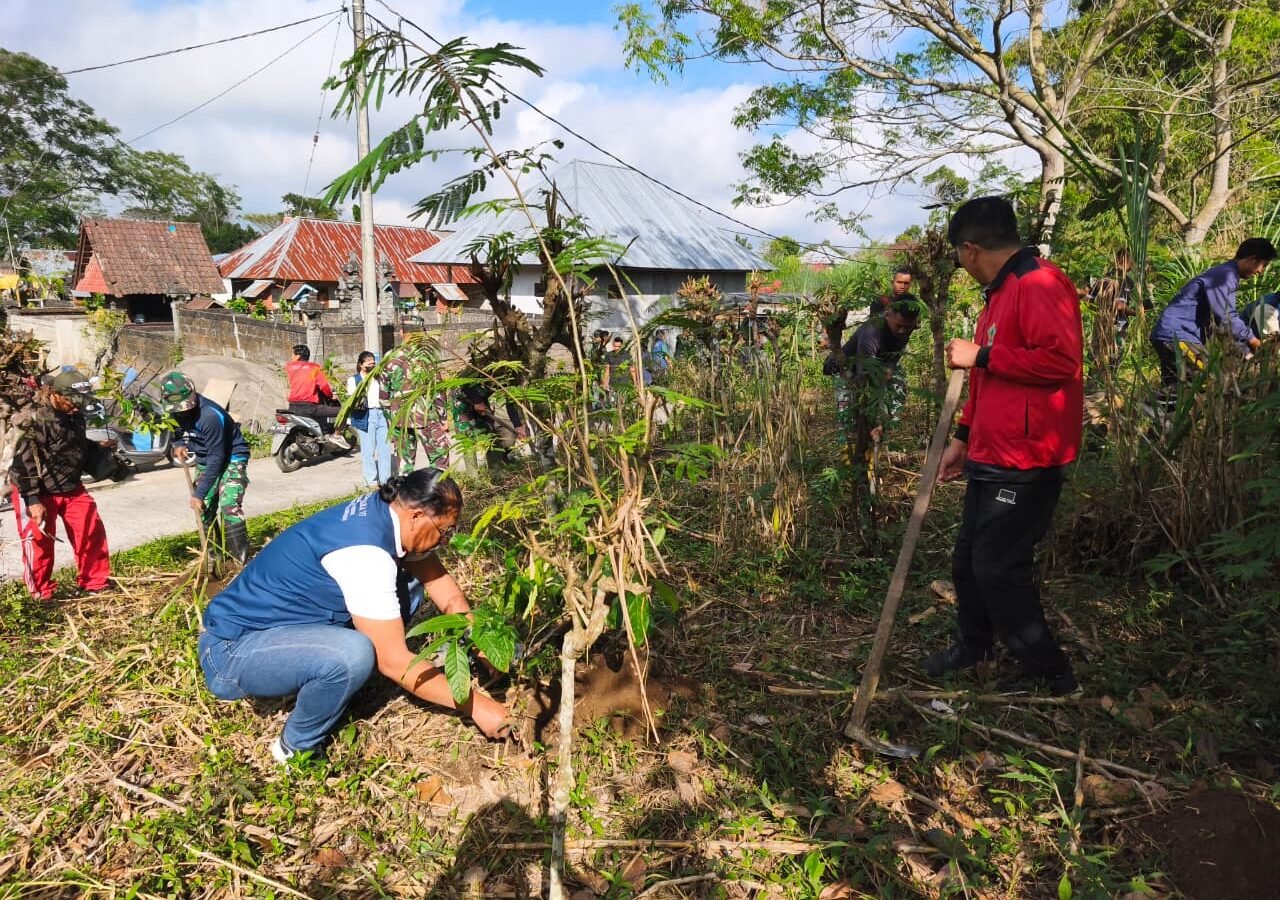 Program TMMD Bangli: Penanaman Pohon Mahoni untuk Lingkungan Sehat