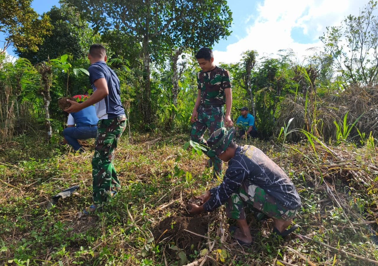 Kerja Sama Kompak, TMMD dan Mahasiswa Tanam 500 Pohon Mahoni di Sekardadi
