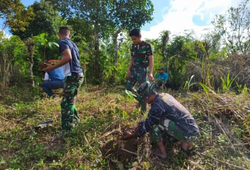 Kerja Sama Kompak, TMMD dan Mahasiswa Tanam 500 Pohon Mahoni di Sekardadi