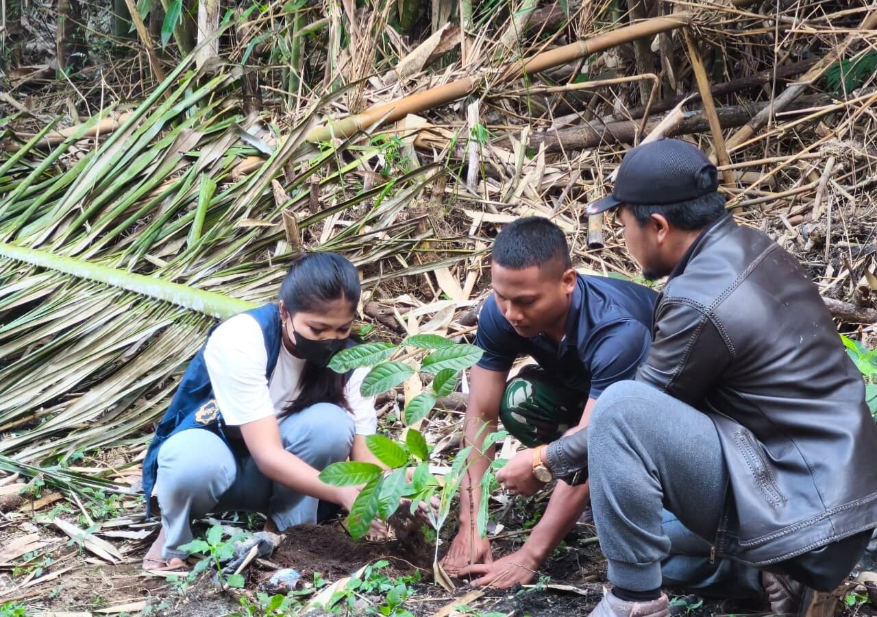 Program Hijaukan Desa Sekardadi Melalui Penanaman 500 Mahoni