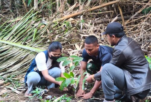 Program Hijaukan Desa Sekardadi Melalui Penanaman 500 Mahoni