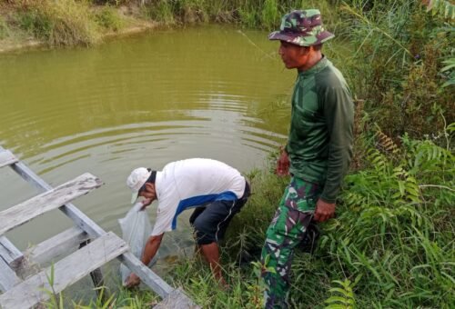 Mendukung Program Ketahanan Pangan, Satgas TMMD 129 Kodim 1206/PU Berikan Bibit Ikan bagi Warga