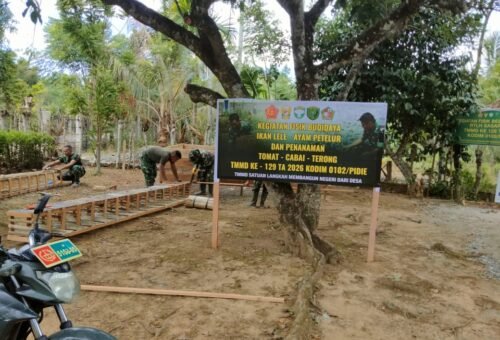 TMMD Ke-129 Kodim 0102/Pidie Mendorong Pengelolaan Pekarangan Produktif Melalui Inisiatif Ketahanan Pangan
