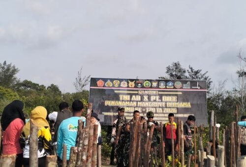 Lestarikan Lingkungan, TMMD ke-129 Kodim 0315/Tanjungpinang Tanam Mangrove di Desa Busung