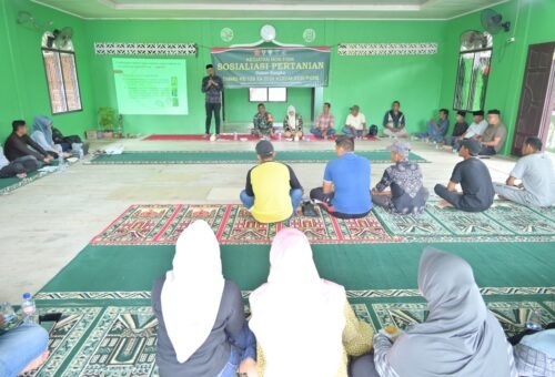 Pemberdayaan Petani Melalui TMMD Ke-129 di Pidie
