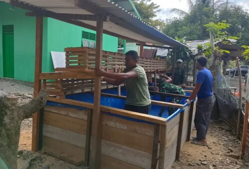 Pembangunan Kandang Ayam dan Kolam Lele oleh Satgas TMMD ke-129 di Pidie Tingkatkan Ketahanan Pangan