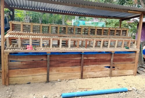 Pemberdayaan Ekonomi Melalui TMMD ke-129, Keluarga Penerima RTLH Siap Berbudidaya Lele dan Ayam