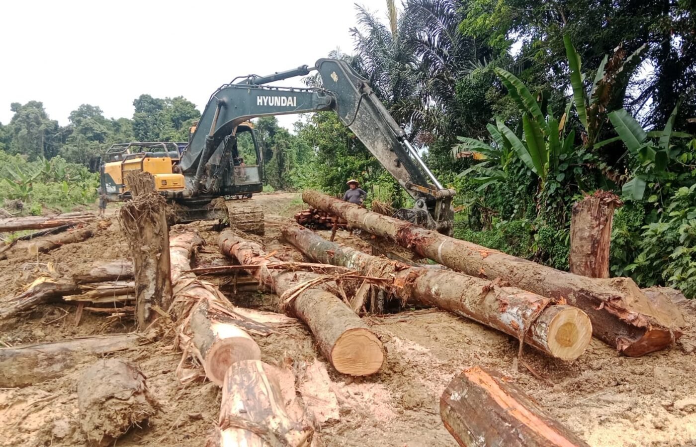 Satgas TMMD ke-129 Kodim 1206/Putussibau Fokus pada Penyelesaian Proyek Jembatan
