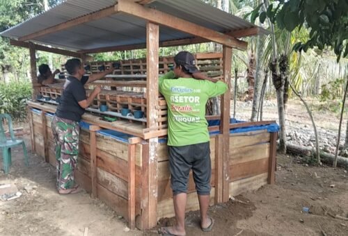 TMMD ke-129 Membuka Peluang Ekonomi bagi Nyak Ubit melalui Usaha Mandiri