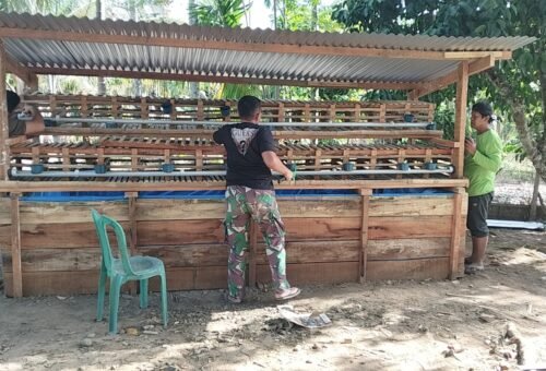 Mendorong Kemandirian Keluarga, Satgas TMMD Pidie Bangun Kandang Ayam dan Kolam Lele untuk Nyak Ubit