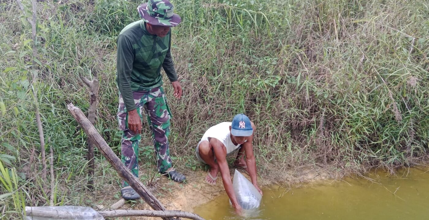 Meningkatkan Ketahanan Pangan, Satgas TMMD ke-129 Kodim 1206/Putussibau Salurkan Bibit Ikan kepada Masyarakat