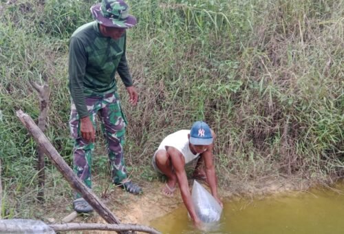 Meningkatkan Ketahanan Pangan, Satgas TMMD ke-129 Kodim 1206/Putussibau Salurkan Bibit Ikan kepada Masyarakat