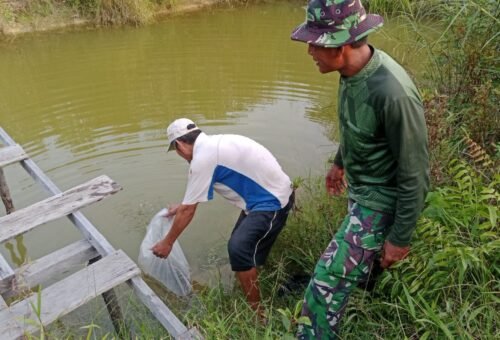 Pengembangan Budidaya Ikan sebagai Sumber Ekonomi Warga Kapuas Hulu