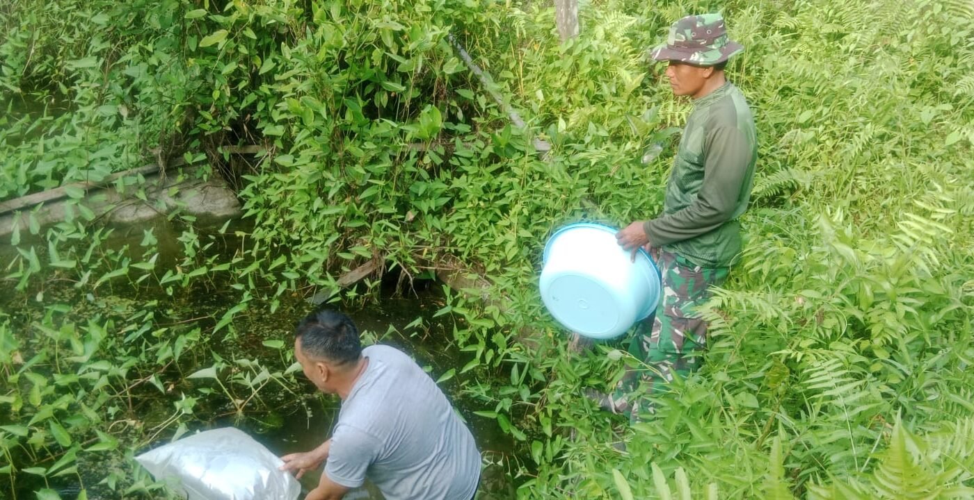 Kerjasama TNI dan Masyarakat, TMMD Ke-129 Kodim 1206/Putussibau Kembangkan Budidaya Ikan untuk Kemandirian Pangan