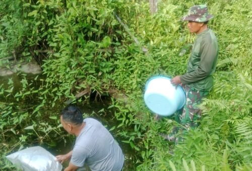 Kerjasama TNI dan Masyarakat, TMMD Ke-129 Kodim 1206/Putussibau Kembangkan Budidaya Ikan untuk Kemandirian Pangan