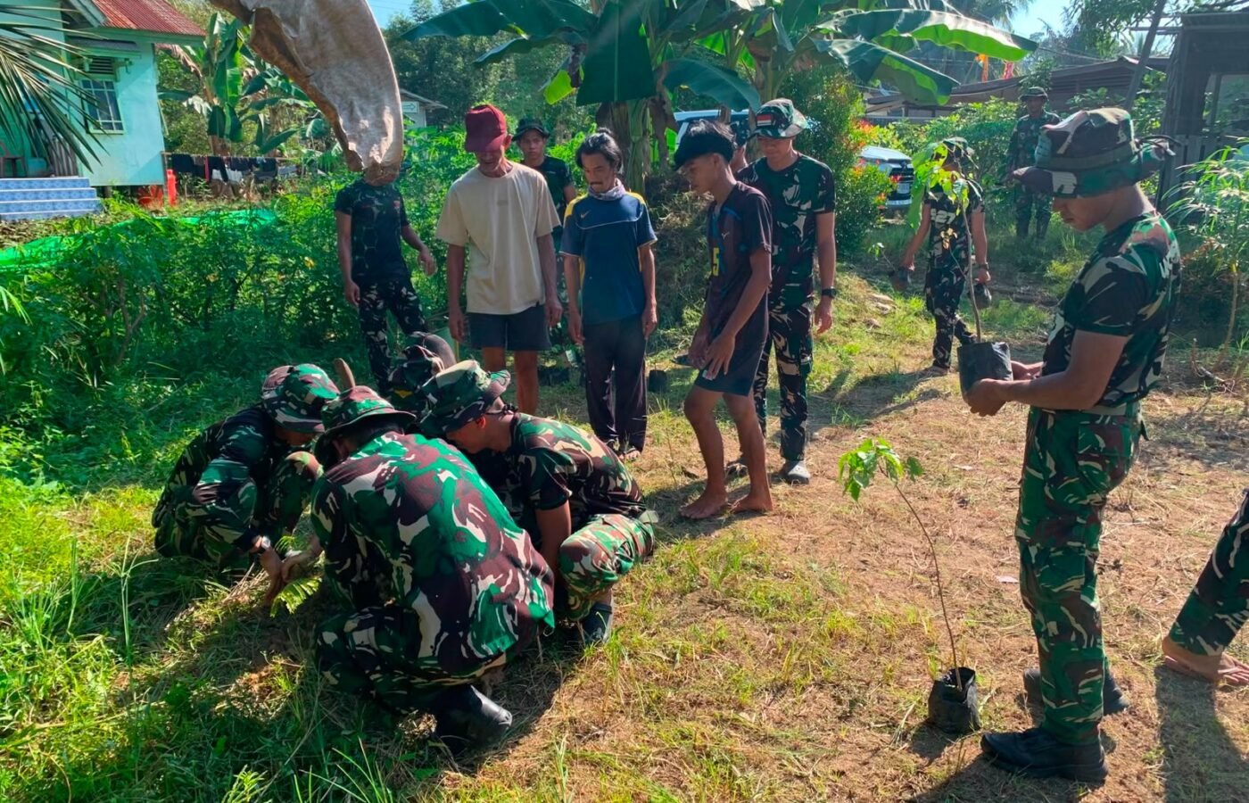 Harapan Masa Depan Melalui Penanaman Bibit Petai dan Jengkol di Desa Ulak Pauk