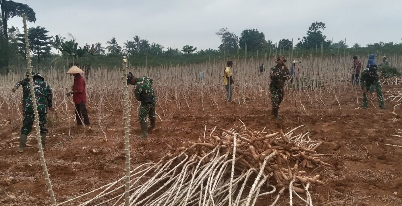 Kemandirian Pangan di Sungkai: Kolaborasi Prajurit dan Petani di Bawah Matahari Terik