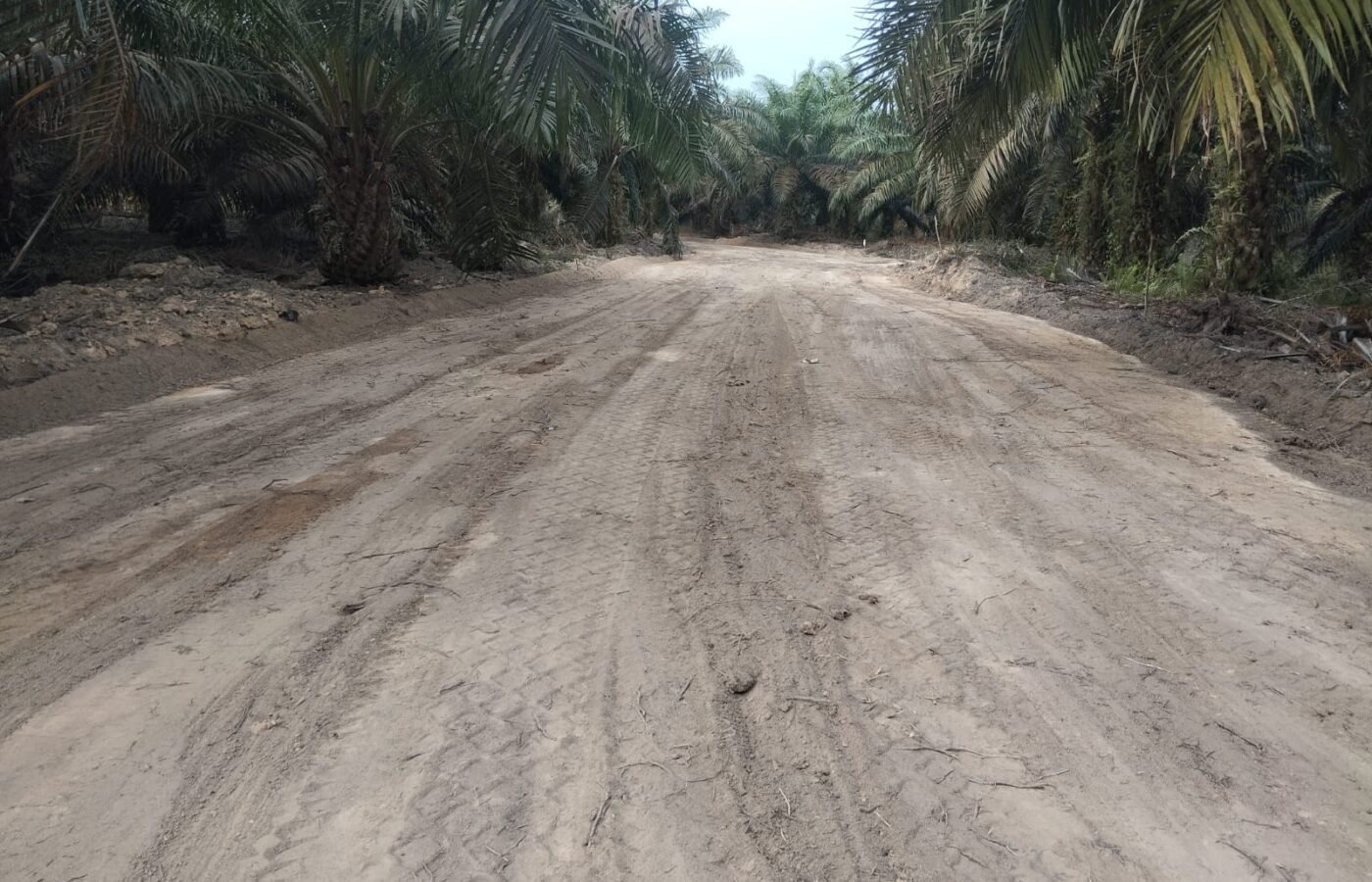 Jalan Deniang–Penyamun Usai Dibangun, Petani Dapatkan Akses Transportasi yang Lebih Baik