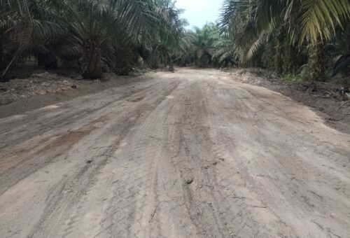 Jalan Deniang–Penyamun Usai Dibangun, Petani Dapatkan Akses Transportasi yang Lebih Baik