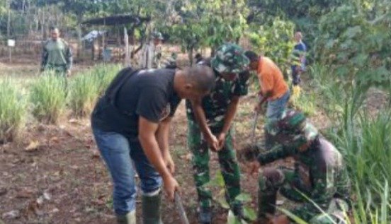 Transformasi Lahan Terdampak Menjadi Kebun Berkelanjutan, TMMD Berupaya Meningkatkan Kemandirian Pangan di Pidie