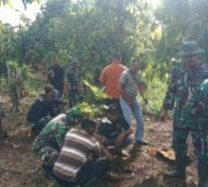 Investasi Pertanian Berkelanjutan di TMMD Melalui Penanaman Pohon Produktif