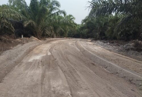 Perwujudan TMMD di Bangka, Jalan Deniang–Penyamun Kini Lebih Luas dan Bermanfaat