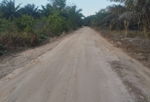 Akses Baru untuk Kehidupan Warga, Jalan Deniang–Penyamun Selesai Dibangun
