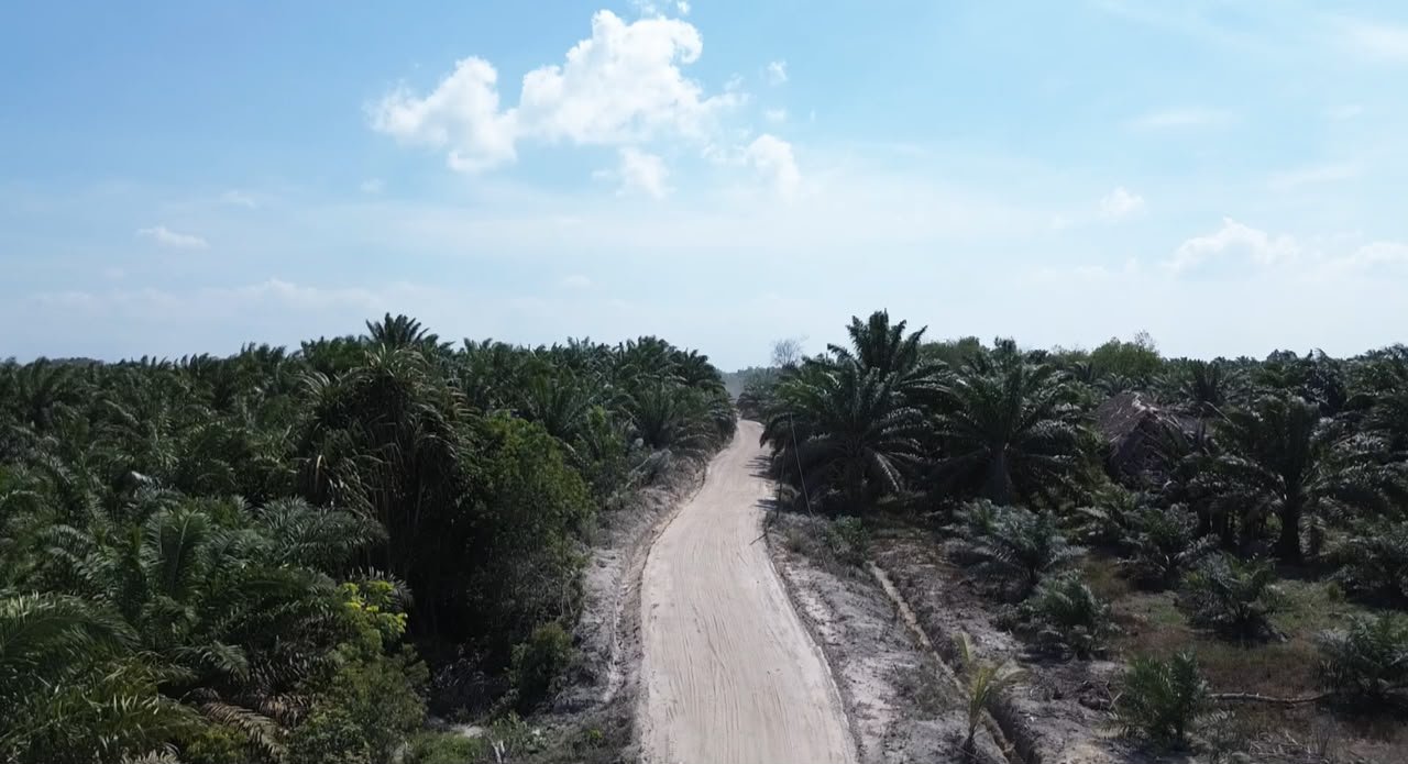 Peningkatan Jalan Deniang-Penyamun, Peluang Ekonomi Baru bagi Desa