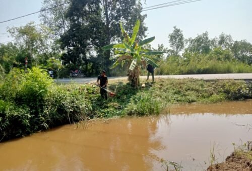 Sinergi TNI dan Masyarakat Dalam Pelaksanaan TMMD, Lingkungan Lebih Asri