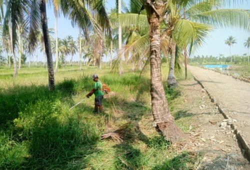 Sinergi Pembangunan dan Pelestarian Lingkungan dalam TMMD Reguler ke-129