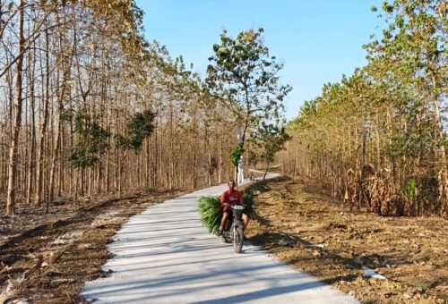 Transformasi Jalan Desa Tlemang: Harapan Baru bagi Masyarakat