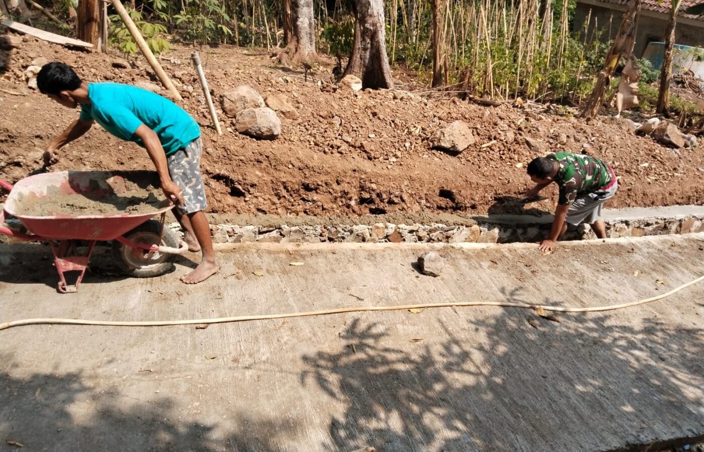 Pendampingan TMMD Ke-129 Kodim Bangli Optimasikan Pangan Melalui Budidaya Pakcoy