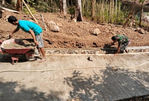 Pendampingan TMMD Ke-129 Kodim Bangli Optimasikan Pangan Melalui Budidaya Pakcoy