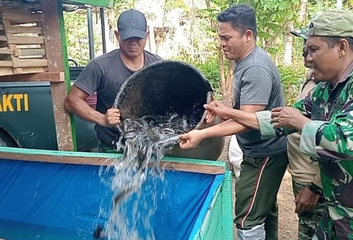TMMD ke-129: Penyerahan Bibit Lele dan Ayam Petelur di Lima RTLH