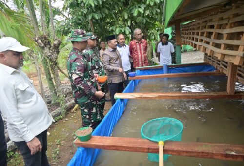Danrem 011/Lilawangsa Kunjungi Proyek Tambahan TMMD ke-129 di Pidie