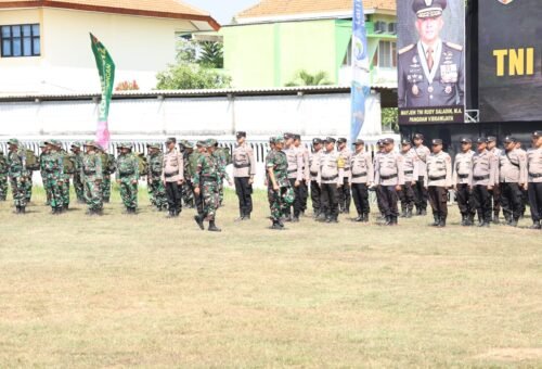 Pemeriksaan Pasukan TMMD ke-129, Simbol Kedisiplinan dan Kebanggaan TNI
