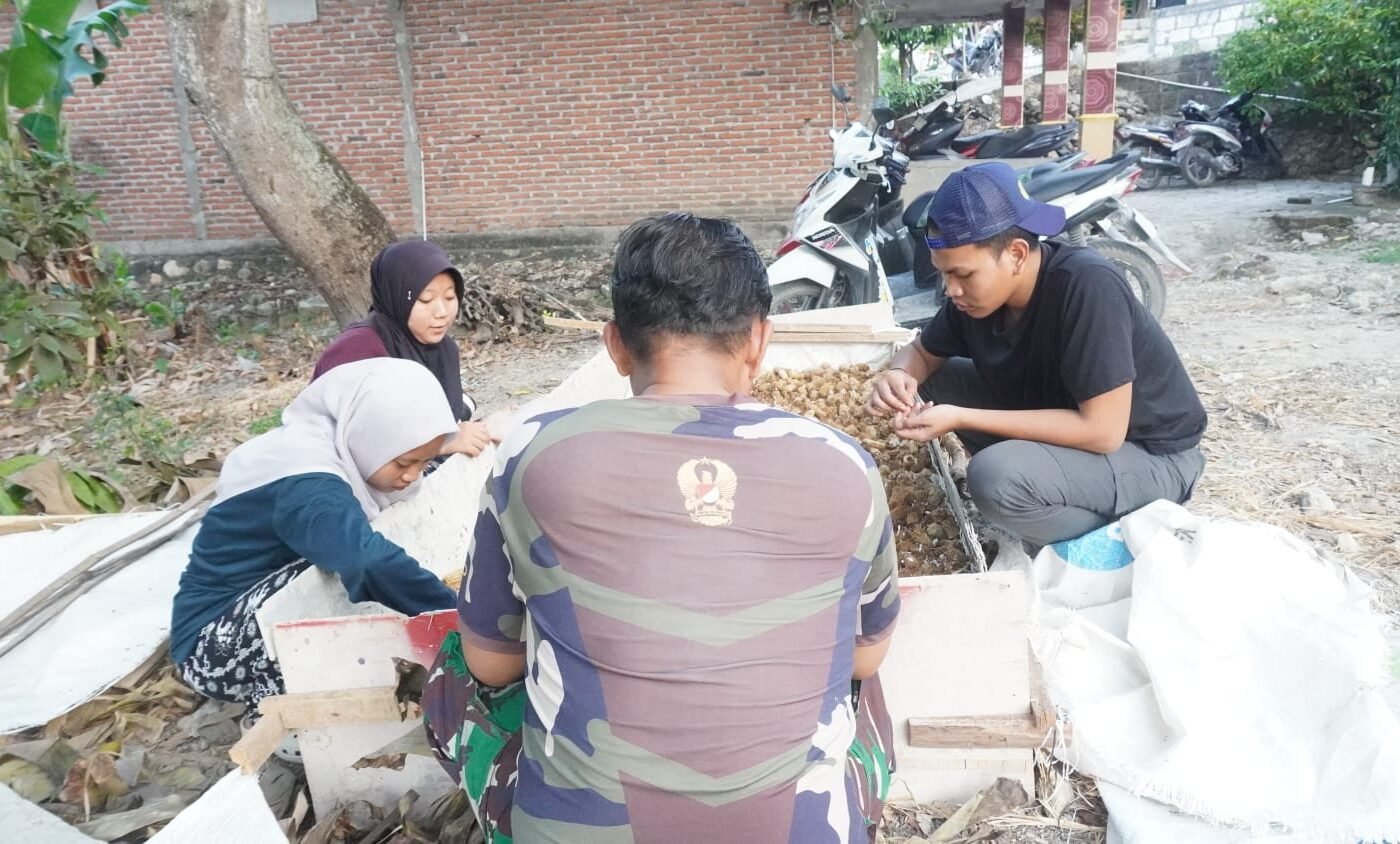 Kerjasama TNI dan Mahasiswa KKN: Budidaya Jamur Jadi Solusi Ekonomi Desa Tlemang