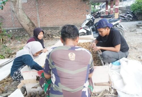Kerjasama TNI dan Mahasiswa KKN: Budidaya Jamur Jadi Solusi Ekonomi Desa Tlemang