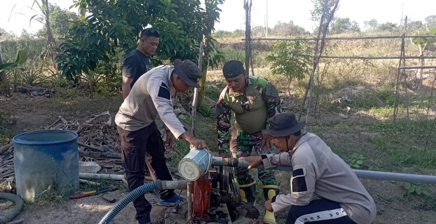 Kemajuan TMMD Ke-129 Kodim 0315/Tanjungpinang dalam Memperkuat Ketahanan Pangan
