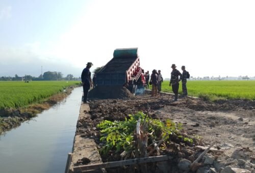 Progres Menarik TMMD Ke-129, Jalan Tani di Pinrang Hampir Rampung