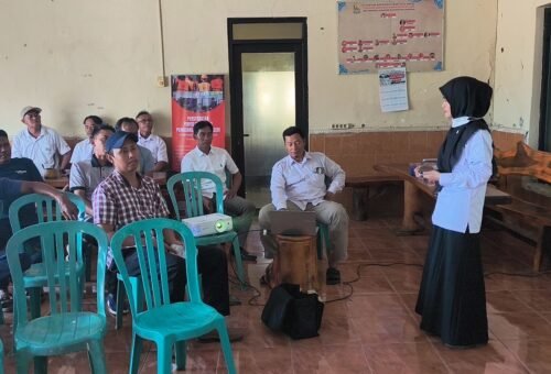 Pemahaman Varietas Padi, Tingkatkan Ketahanan Pangan di Desa Luwung Kencana