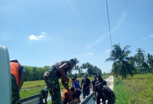 Pembangunan Jalan TMMD Ke-129: Akses Lebih Baik untuk Warga Kapuas
