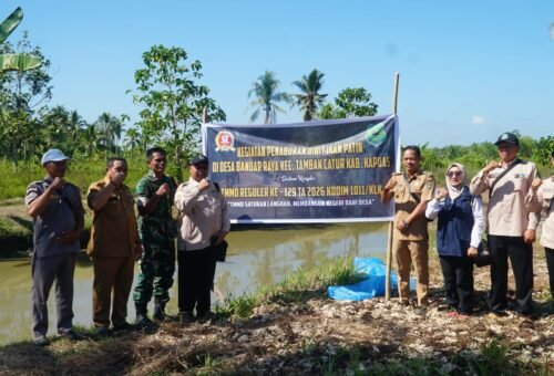 Bersinergi, Satgas TMMD dan Masyarakat Menebar Bibit Ikan Patin di Kecamatan Tamban Catur