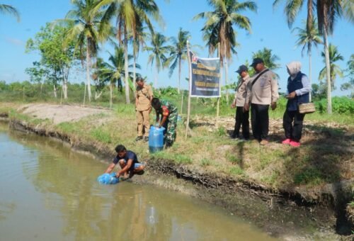 Inovasi Ekonomi Desa Melalui Budidaya Ikan Patin dalam TMMD Ke-129