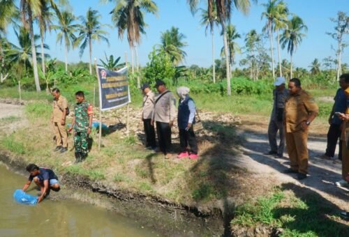 Penguatan Ketahanan Pangan Melalui Penebaran Bibit Ikan Patin di Desa Bandar Raya