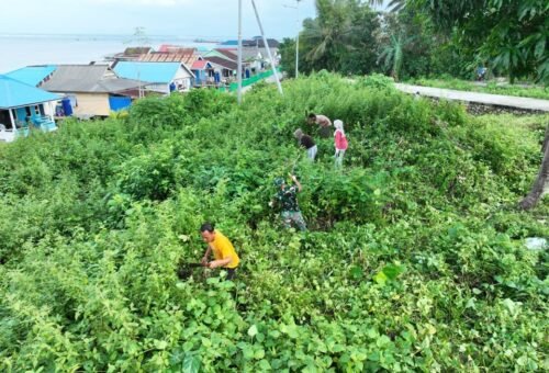 Satgas TMMD Ke-129 Kodim 1311/Morowali Laksanakan Aksi Bersih Bersama Warga di Puskesmas Umbele